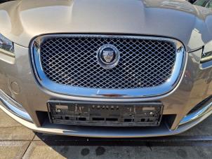 Jaguar XF 3.0 D V6 24V Vehículo de desguace (2012, Gris)