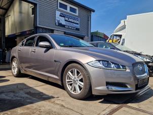 Jaguar XF 3.0 D V6 24V Vehículo de desguace (2012, Gris)