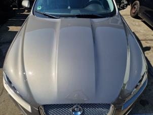 Jaguar XF 3.0 D V6 24V Vehículo de desguace (2012, Gris)