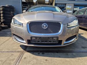 Jaguar XF 3.0 D V6 24V Vehículo de desguace (2012, Gris)