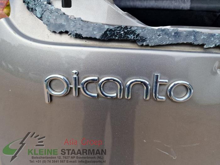 Kia Picanto 1.0 12V Schrottauto (2014, Grau)