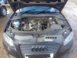 Audi A3 Cabriolet 1.2 TFSI Épave (2010, Foncé, Violet)