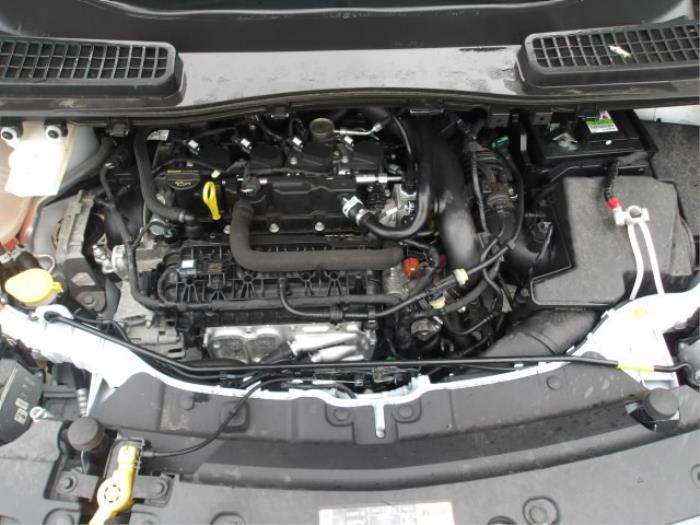 Ford Kuga II 1.5 EcoBoost 16V 4x4 Épave (2019, Blanc, Rose)
