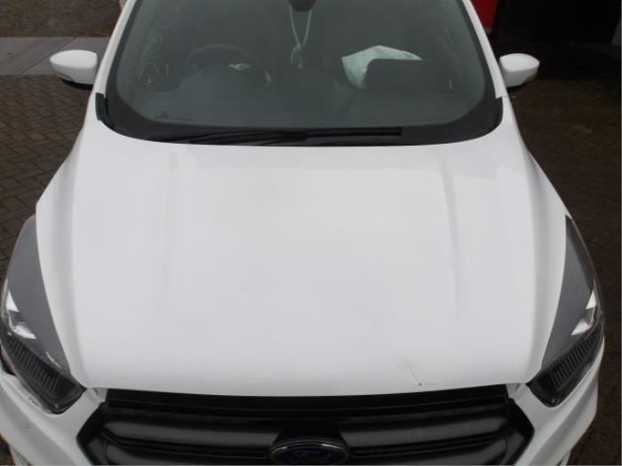 Ford Kuga II 1.5 EcoBoost 16V 4x4 Épave (2019, Blanc, Rose)