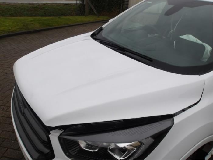 Ford Kuga II 1.5 EcoBoost 16V 4x4 Épave (2019, Blanc, Rose)