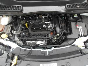 Ford Kuga II 1.5 EcoBoost 16V 4x4 Épave (2019, Blanc, Rose)