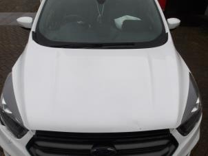 Ford Kuga II 1.5 EcoBoost 16V 4x4 Épave (2019, Blanc, Rose)