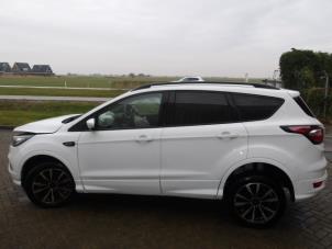 Ford Kuga II 1.5 EcoBoost 16V 4x4 Épave (2019, Blanc, Rose)