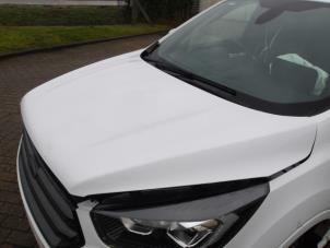Ford Kuga II 1.5 EcoBoost 16V 4x4 Épave (2019, Blanc, Rose)
