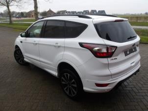 Ford Kuga II 1.5 EcoBoost 16V 4x4 Épave (2019, Blanc, Rose)
