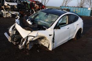 Tesla Model Y RWD  (Salvage)