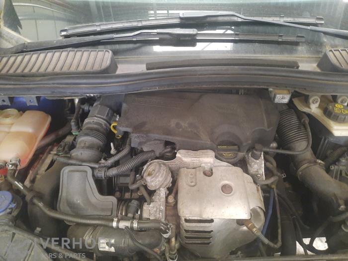 Ford C-Max 1.0 Ti-VCT EcoBoost 12V 125 Épave (2014, Bleu)