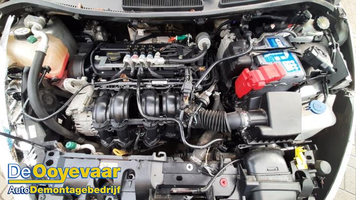 Ford Fiesta 6 1.4 16V LPG Vehículo de desguace (2017)