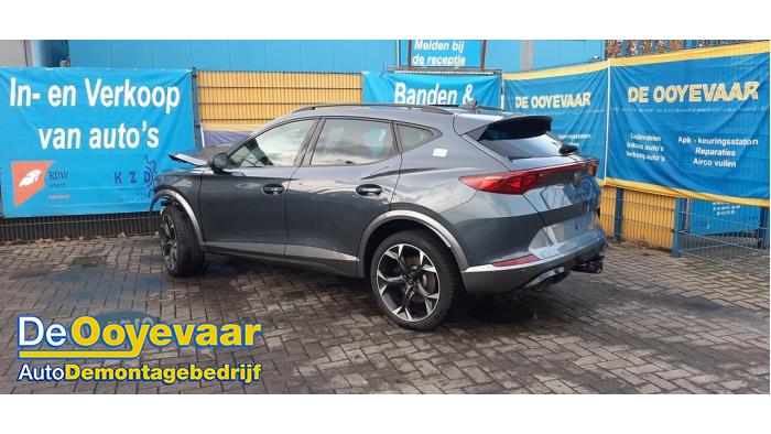 Cupra Formentor 2.0 TSI 16V 4Drive Samochód złomowany (2021, Szary)