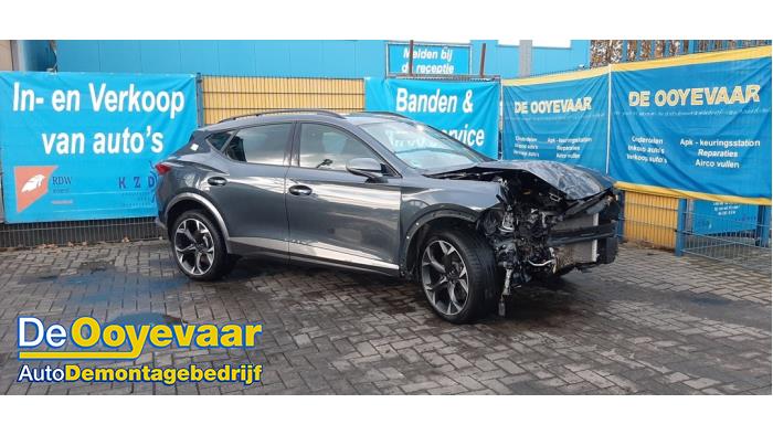 Cupra Formentor 2.0 TSI 16V 4Drive Samochód złomowany (2021, Szary)