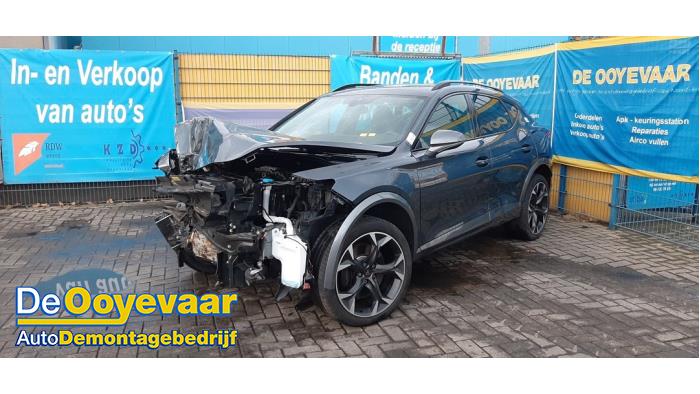 Cupra Formentor 2.0 TSI 16V 4Drive Samochód złomowany (2021, Szary)