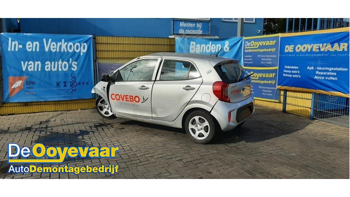 Kia Picanto 1.0 DPI 12V Vehículo de desguace (2024, Gris)