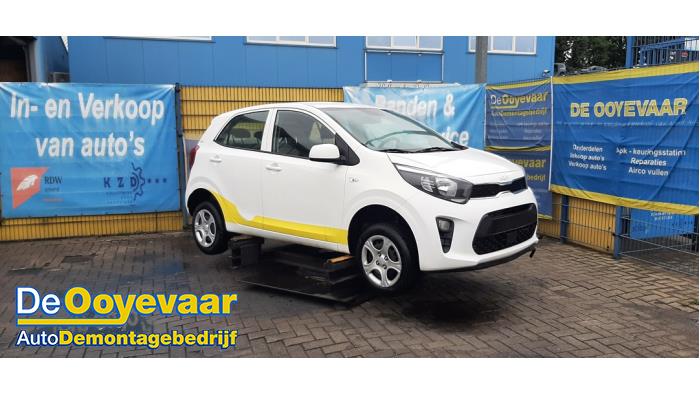 Kia Picanto 1.0 DPi 12V  (Rozbiórka)