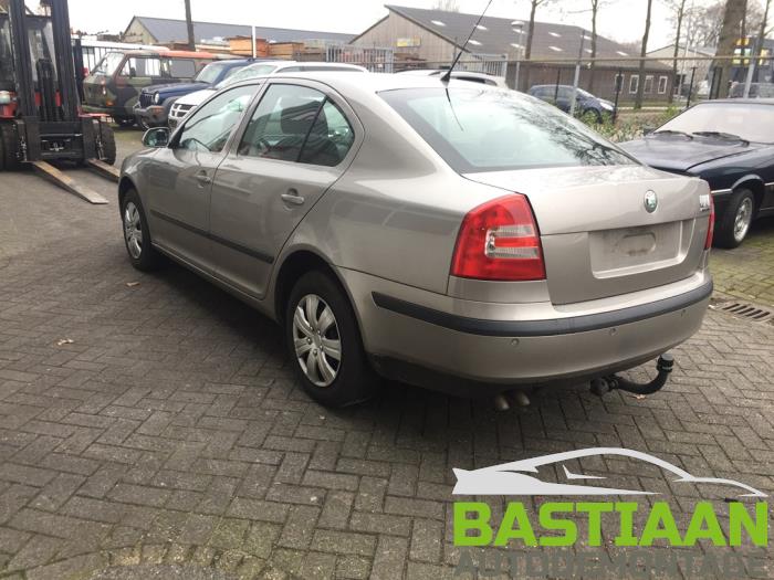 Skoda Octavia 1.9 TDI Schrottauto (2007, Grau)