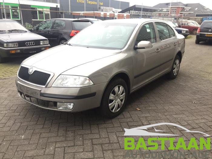 Skoda Octavia 1.9 TDI Schrottauto (2007, Grau)