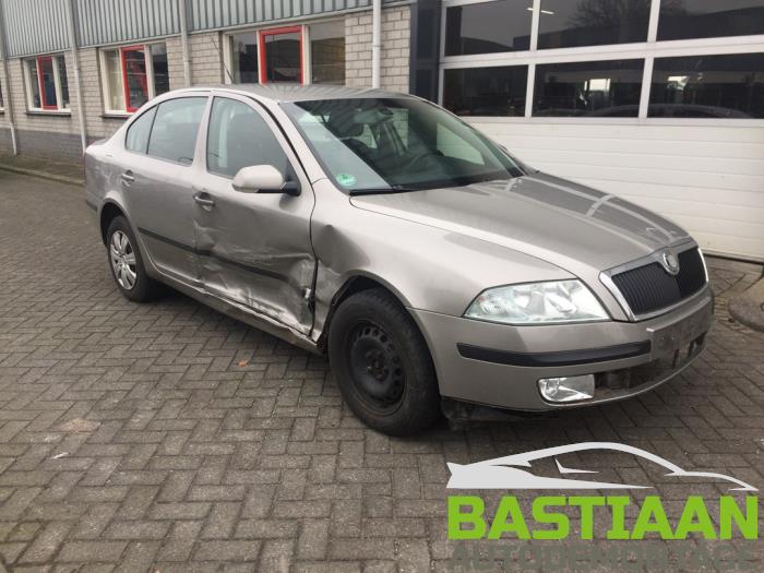 Skoda Octavia 1.9 TDI Schrottauto (2007, Grau)