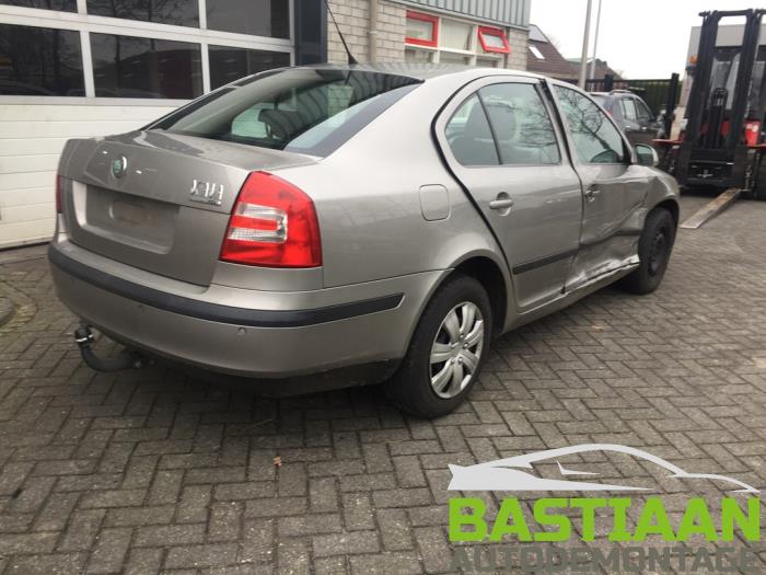 Skoda Octavia 1.9 TDI Schrottauto (2007, Grau)