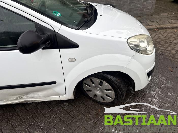 Renault Twingo II 1.2 Épave (2009, Blanc)