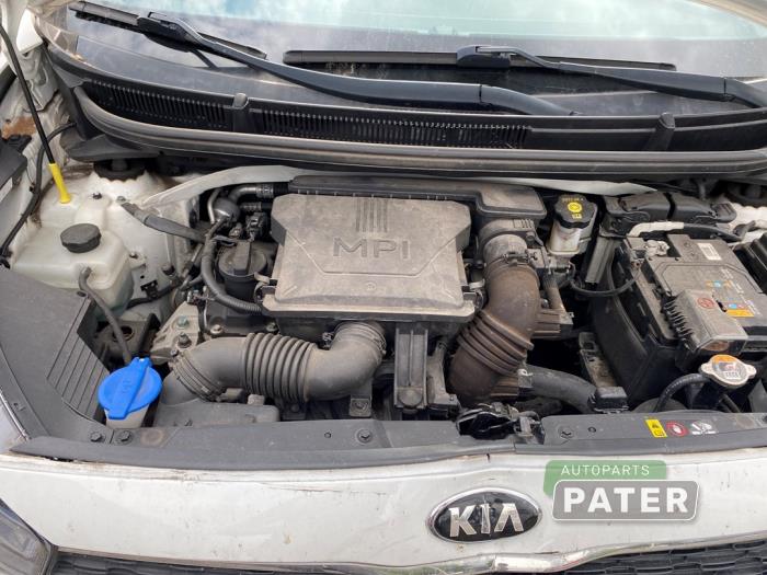 Kia Picanto 1.0 DPi 12V Salvage vehicle (2020, White)