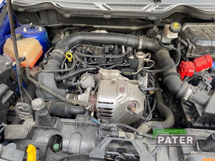 Ford EcoSport 1.0 EcoBoost 12V 125 Samochód złomowany (2017, Niebieski)