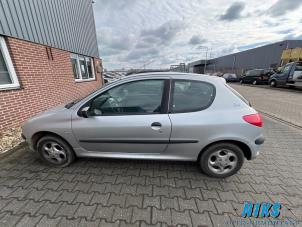 Peugeot 206 1.4 XR,XS,XT,Gentry  (Rozbiórka)