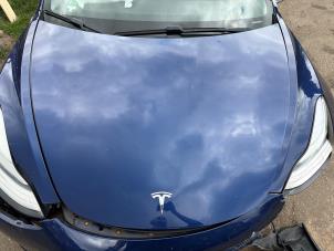 Tesla Model 3 Standard RWD Plus 60 kWh Samochód złomowany (2019, Niebieski)