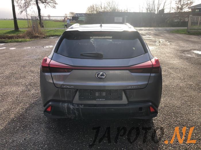 Lexus UX 250h 2.0 16V Épave (2019, Gris)