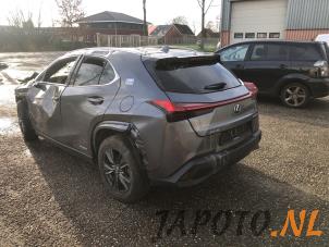 Lexus UX 250h 2.0 16V Épave (2019, Gris)