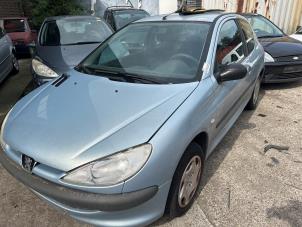Peugeot 206 1.4 XR,XS,XT,Gentry  (Rozbiórka)