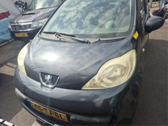 Peugeot 107 1.0 12V Skrotfordon (2006, GRIJS)