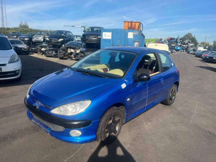 Peugeot 206 1.4 XR,XS,XT,Gentry Samochód złomowany (2007, Niebieski)