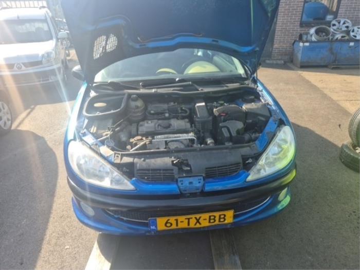 Peugeot 206 1.4 XR,XS,XT,Gentry Samochód złomowany (2007, Niebieski)
