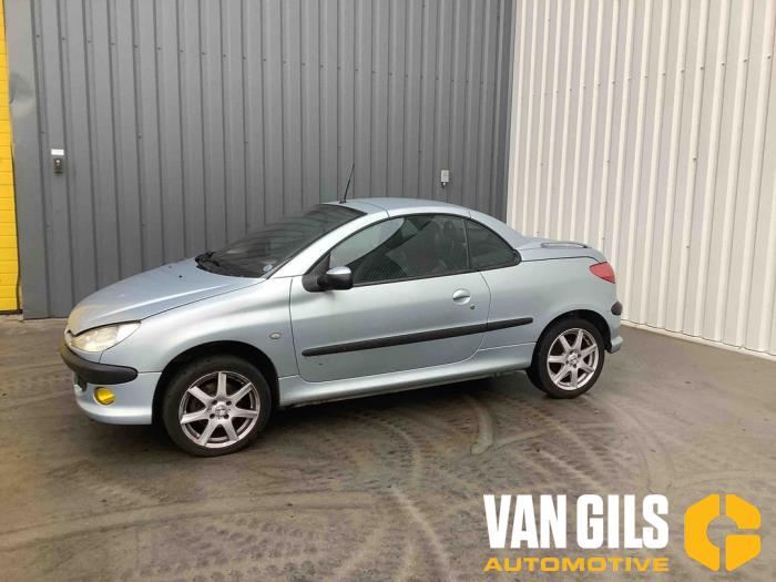 Peugeot 206 CC 2.0 16V Épave (2002, Gris)