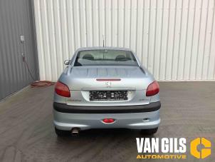Peugeot 206 CC 2.0 16V Épave (2002, Gris)
