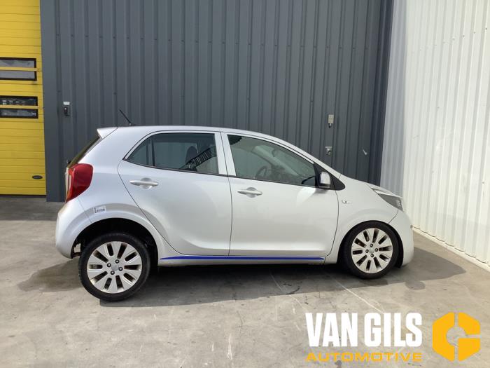 Kia Picanto 1.0 12V Épave (2017, Gris)