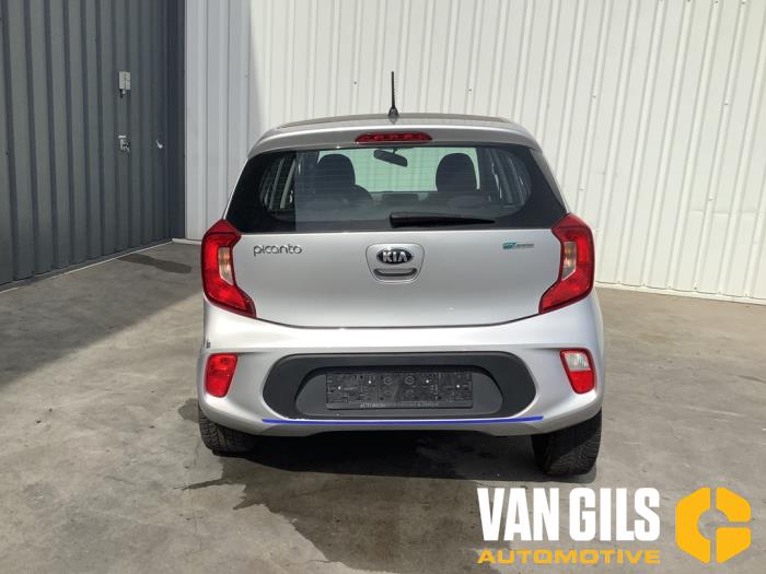 Kia Picanto 1.0 12V Épave (2017, Gris)