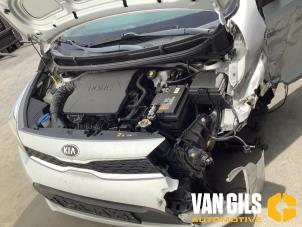 Kia Picanto 1.0 12V Épave (2017, Gris)