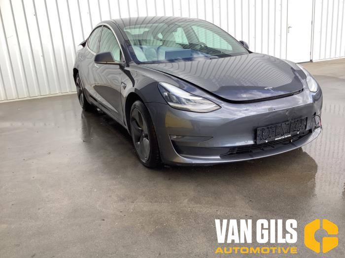 Tesla Model 3 Long Range, Performance AWD Schrottauto (2019, Grau)