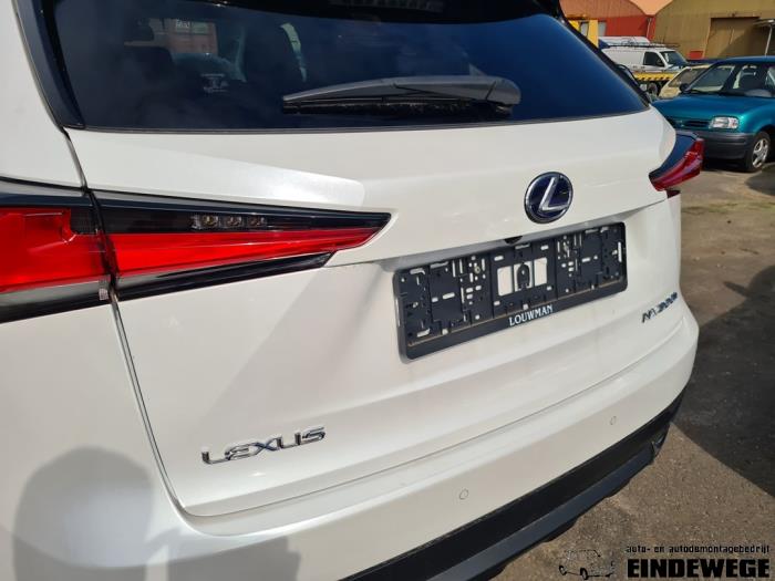 Lexus NX I 300h 2.5 16V 4x4 Épave (2018, Blanc)