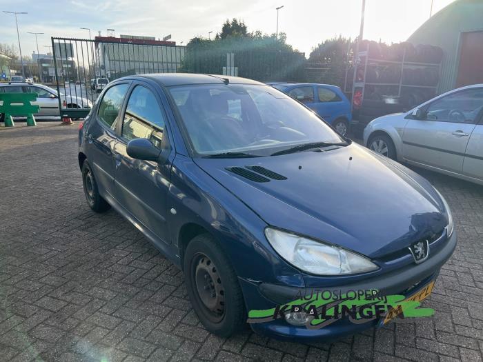 Peugeot 206 1 4 XR XS XT Gentry Occasion 2001 Blue 