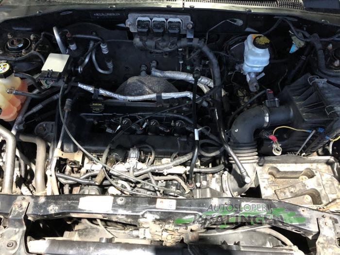 Photo donneur auto