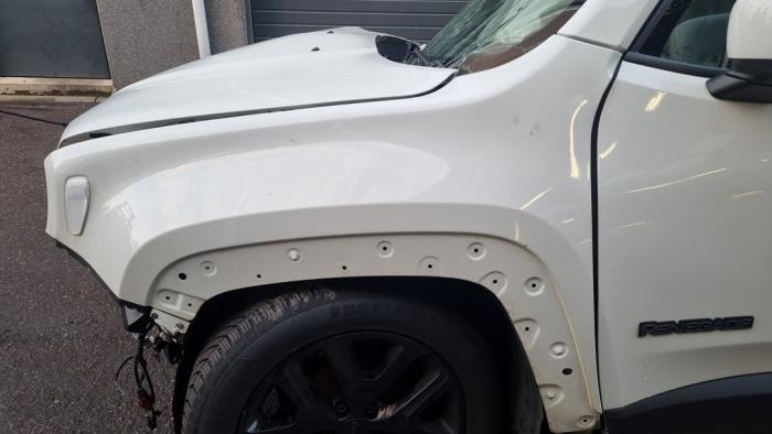 Jeep Renegade Épave (2017, Blanc)