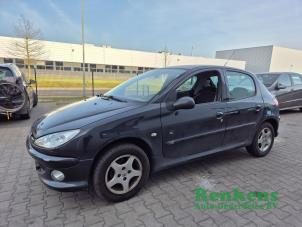 Peugeot 206 1.4 XR,XS,XT,Gentry  (Desguace)