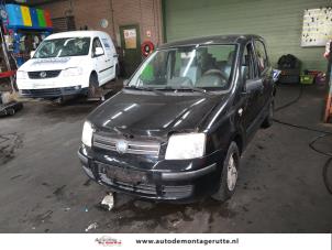 Fiat Panda 1.2 Fire  (Rozbiórka)
