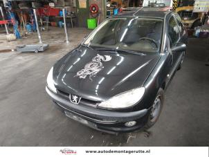 Peugeot 206 1.4 XR,XS,XT,Gentry  (Desguace)